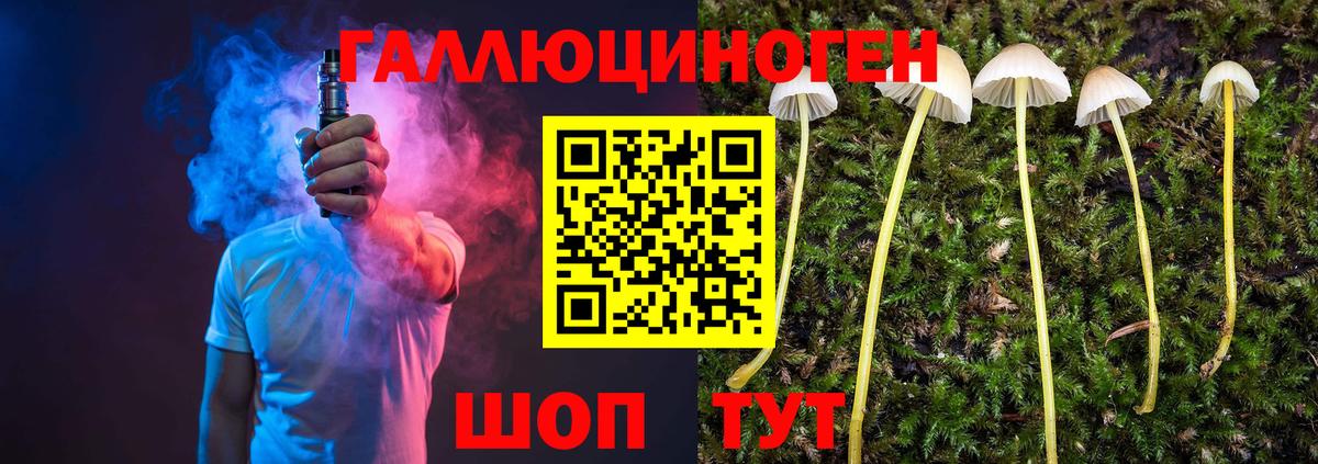 Псилоцибиновые грибы MAGIC MUSHROOMS  Вход с VPN  Алексин 