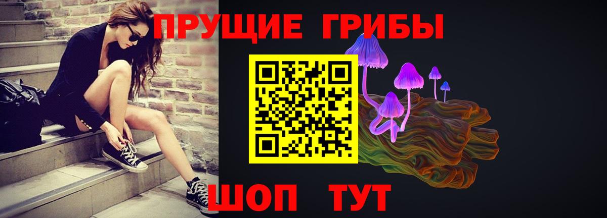 Псилоцибиновые грибы мицелий Алексин